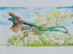Quetzal