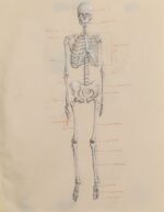 Skeleton Sketch