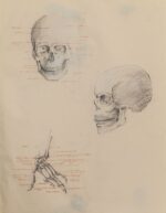 Skull Sketch