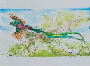 Quetzal