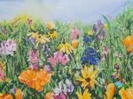 Field of Flowers Pt 1